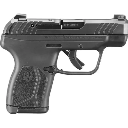 Ruger LCP Max - Black Market Guns